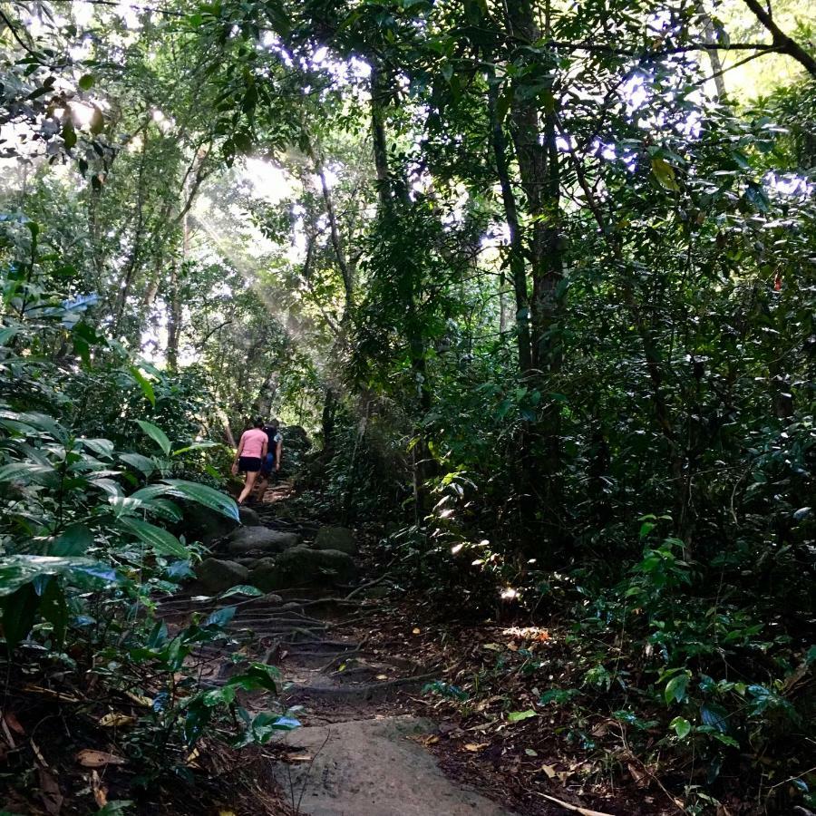 Jungle Lodge Vila do Abraao ภายนอก รูปภาพ