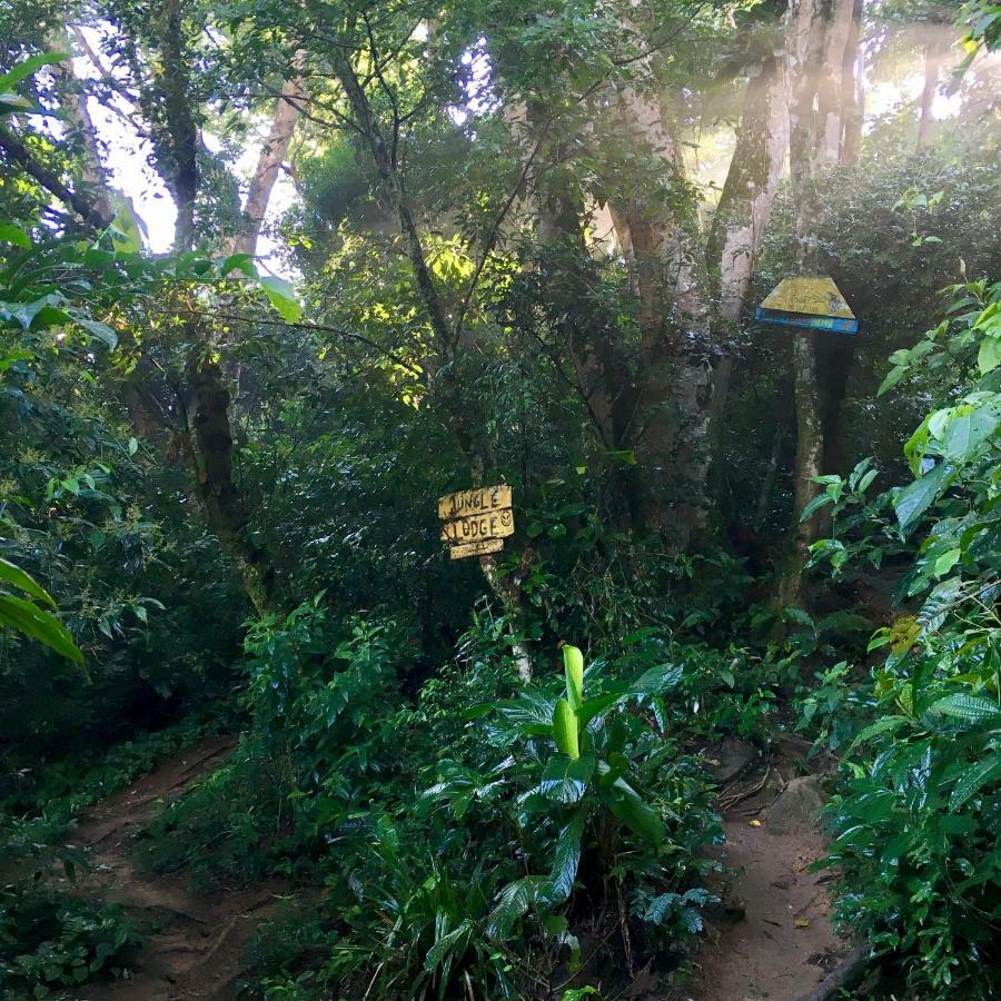 Jungle Lodge Vila do Abraao ภายนอก รูปภาพ